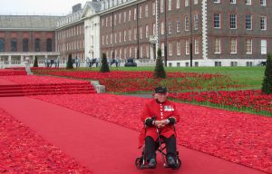 Londen Chelsea Flower show 5000 poppies 1