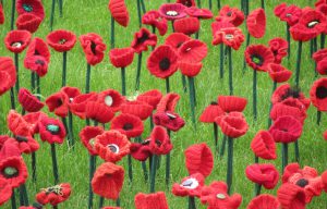 Londen Chelsea Flower show 5000 poppies 2